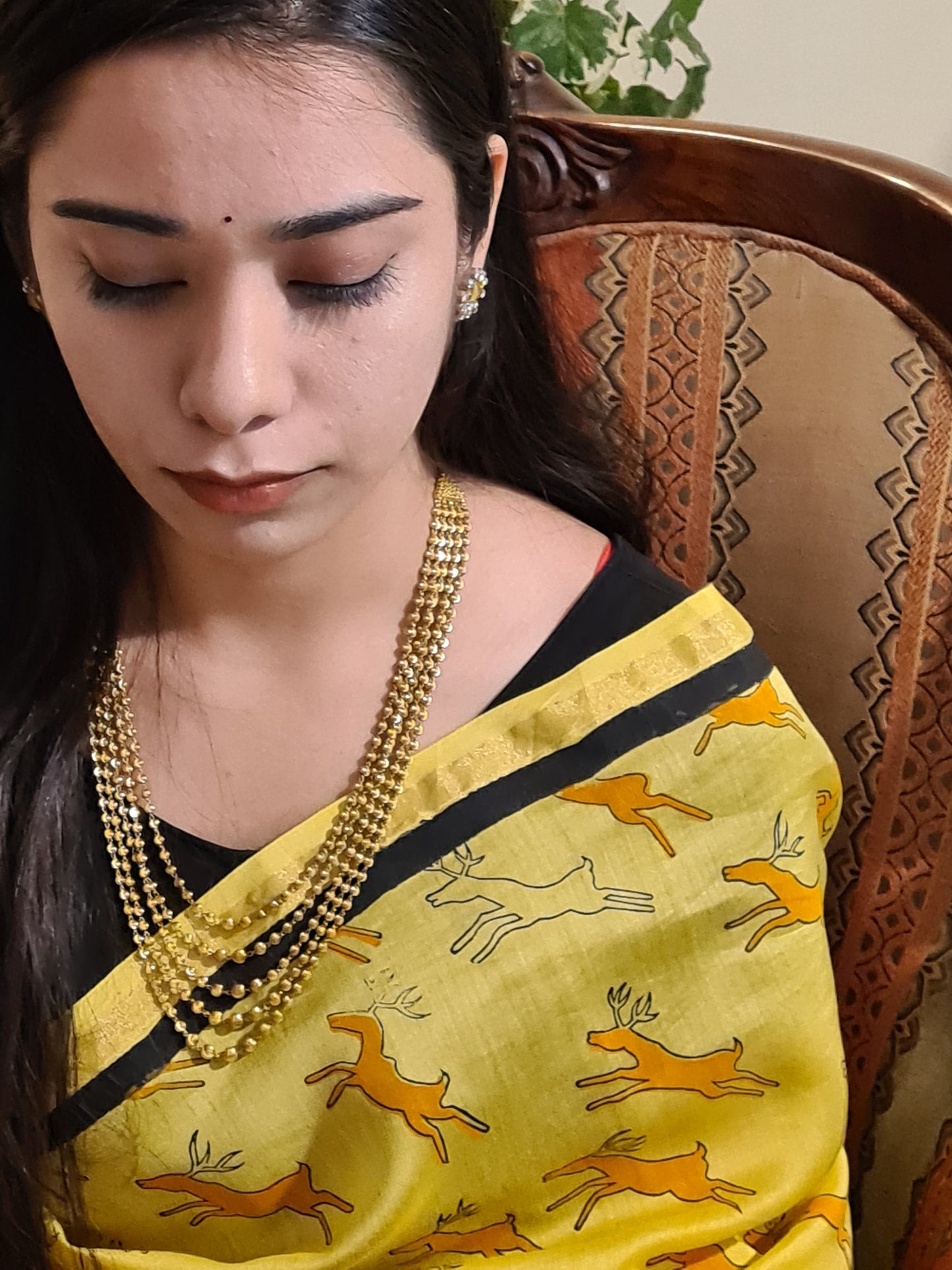 CHANDERI : THE ROYAL CANVAS