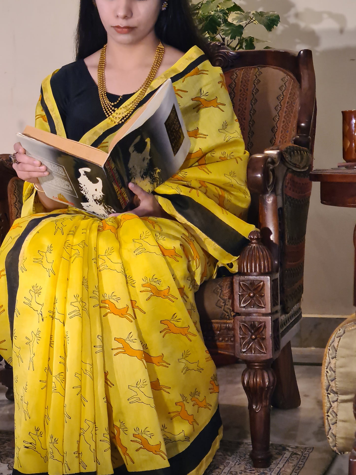 CHANDERI : THE ROYAL CANVAS
