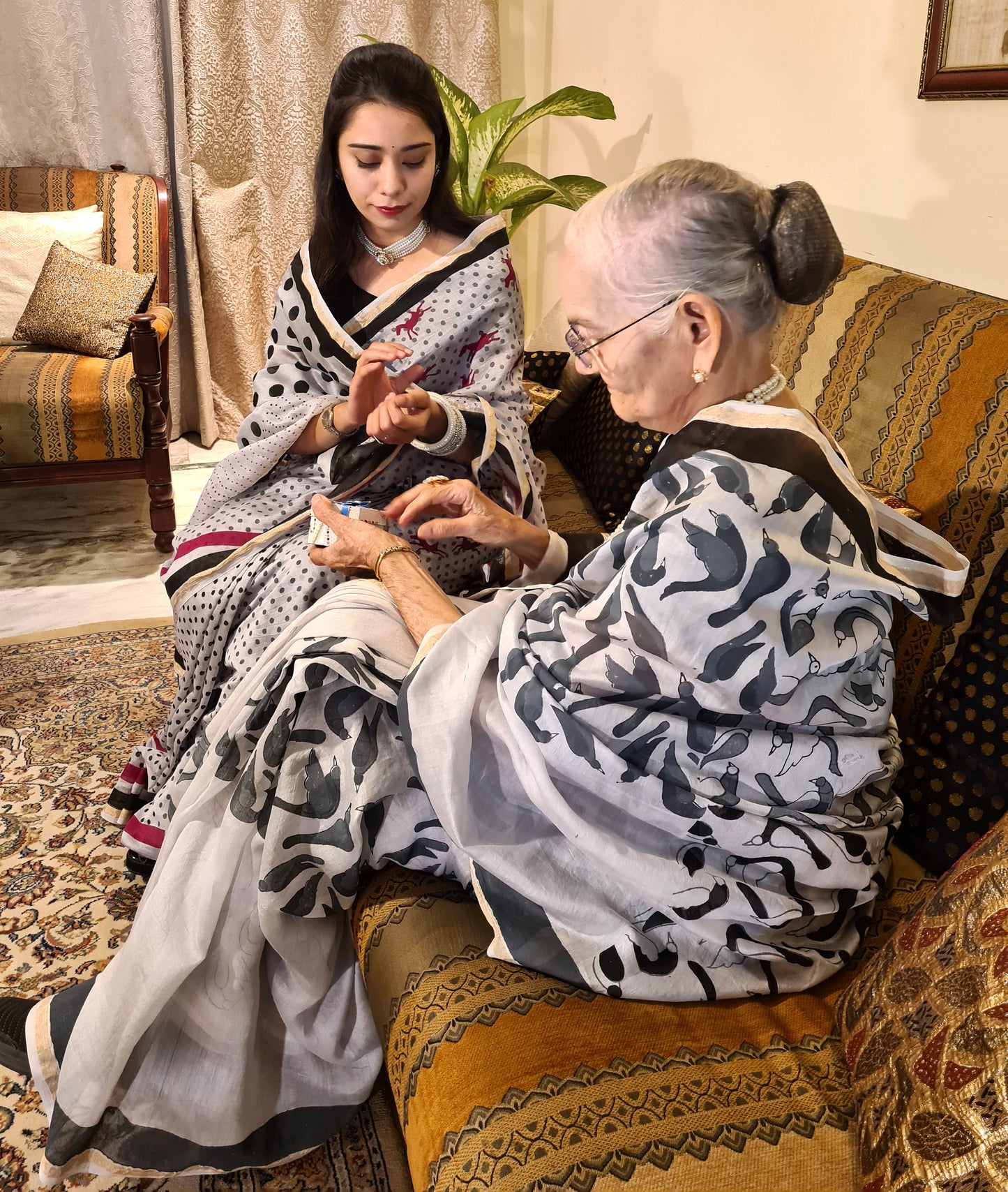 CHANDERI : THE ROYAL CANVAS