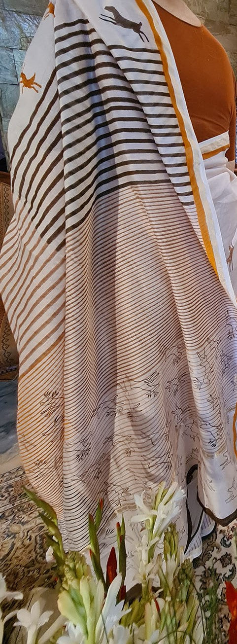 CHANDERI : THE ROYAL CANVAS