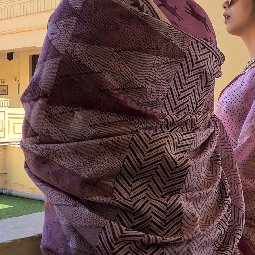 CHANDERI : THE ROYAL CANVAS