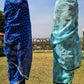 CHANDERI : THE ROYAL CANVAS