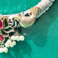 SONGBIRD SERENADE CHOKER
