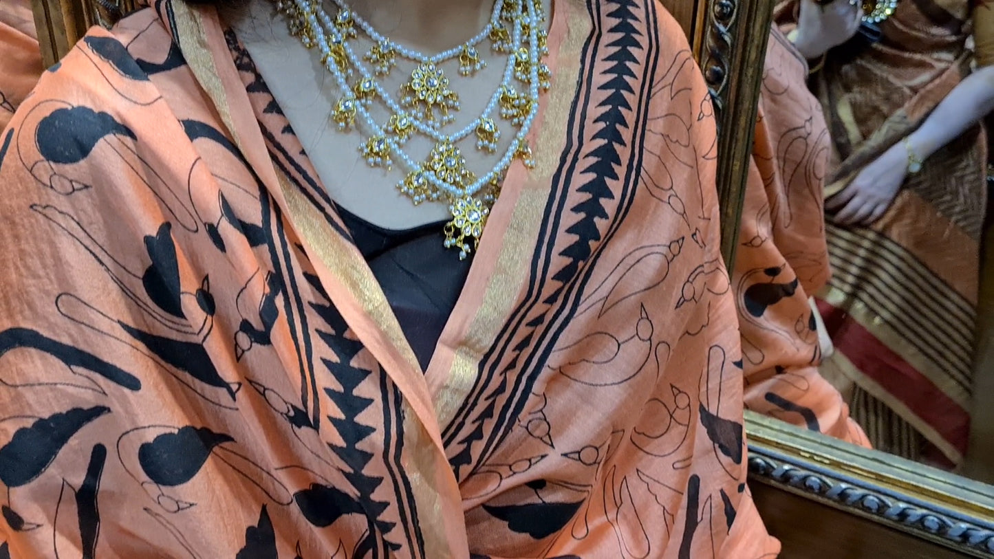 Chanderi Sarees - The Royal Canvas (SINGLE CLICK ON PHOTO FOR ZOOM)