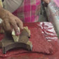 CHANDERI : THE ROYAL CANVAS