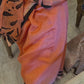 Chanderi Sarees - The Royal Canvas (SINGLE CLICK ON PHOTO FOR ZOOM)
